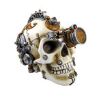 Erasmus Steampunk Skull