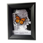 San Francisco Butterfly Shadow Box