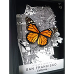 San Francisco Butterfly Shadow Box