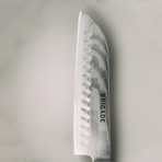 The Santoku Knife