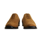 Suede Oxford Brogue Shoe // Tan (UK: 6.5)