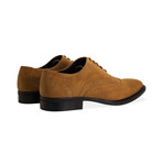 Suede Oxford Brogue Shoe // Tan (UK: 6.5)