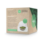 Orbella Fragrant Moss // Patchouli