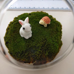 Orbella Fragrant Moss // Patchouli