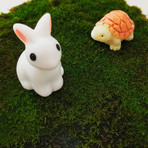 Orbella Fragrant Moss // Patchouli