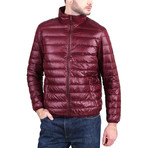 Denys Jacket // Burgundy (M)