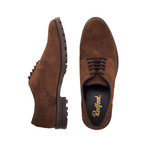 Water Resistant Desert Shoes // Brown (UK: 6.5)