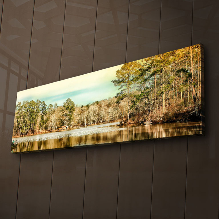 LED Canvas Art - Nature Inspired Illuminated Art - Touch of Modern