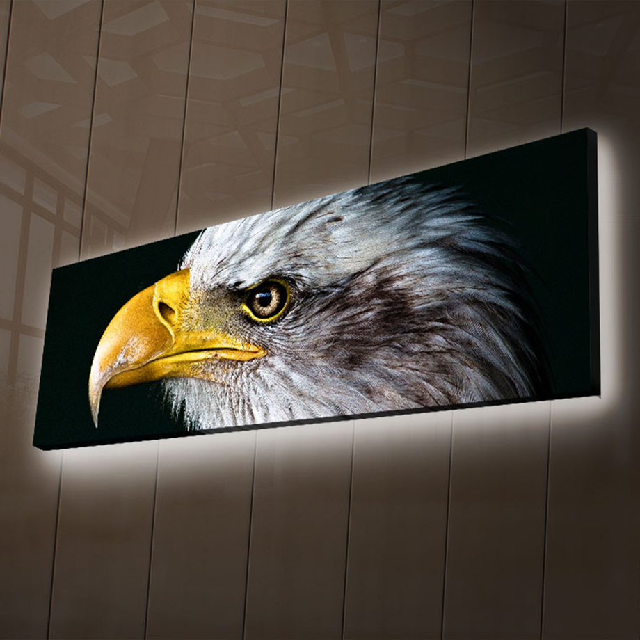 Led Canvas Art - Nature Inspired Illuminated Art - Touch Of Modern