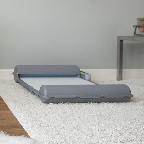 BrilliantPad // Self Cleaning Dog Potty