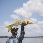 Epic 590 C // Carbon Fiber Fly Rod (Titanium Reel Set)