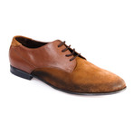 Francis Shoe // Brown (Euro: 42)