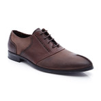 Ford Shoe // Brown (Euro: 44)