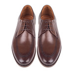 Perforated Derby Shoe // Brown Antique (Euro: 45)