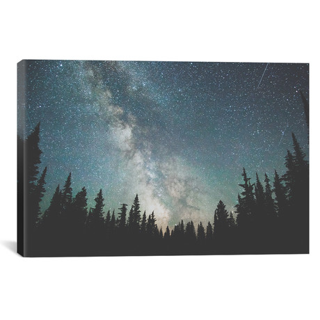 Stars Over The Forest III // Luke Anthony Gram (26"W x 18"H x 0.75"D)