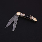 Double Blade Pocket Folding Knife