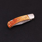 Pocket Folding Lock Back Knife // 2326