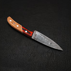 Damascus Kitchen Knife // 9153