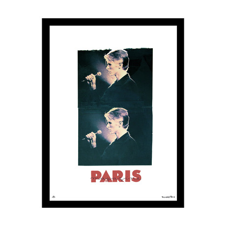 Portrait in Paris (12"W x 16"H)