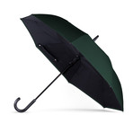 Inverted Umbrella (Green)