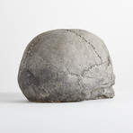 Ceramic Gray Skull Cap