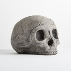 Ceramic Gray Skull Cap