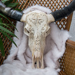 Hand Carved Buffalo Skull // 2 Dragons
