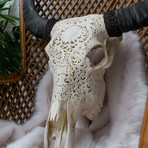 Hand Carved Buffalo Skull // Lotus 1