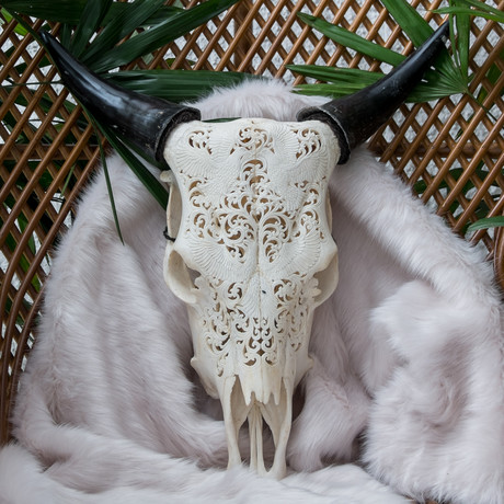 Hand Carved Cow Skull // Eagles