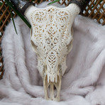 Hand Carved Cow Skull // Tribal 4
