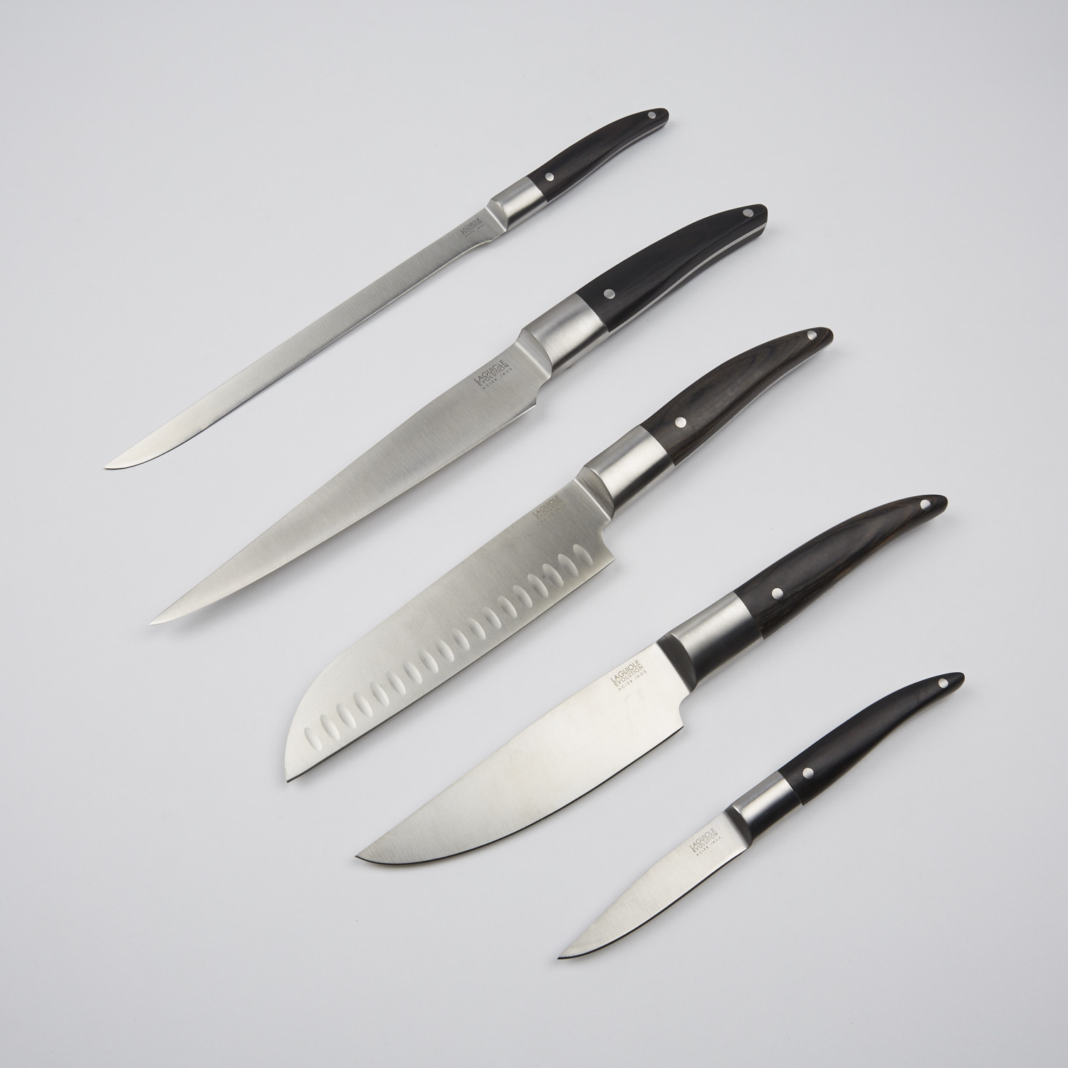 Laguiole Expression Kitchen Knives // Set of 5 - TB-Groupe - Touch of ...