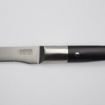 Laguiole Expression // 10" Prosciutto/Filleting Knife