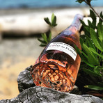 Bertrand Côte des Roses Rosé 2017 // Five 750ml Bottles + One Magnum Bottle