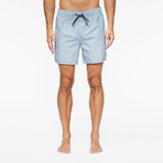 Belmont Pool Shorts // Sea Mist Parker (L)
