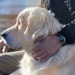 Akerfalk First Season Quartz // AK.001.GO.BL.BRLE.001