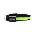 Halo Mini LED Dog Collar // Green (Small)