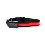 Halo Mini LED Dog Collar // Red (Small)