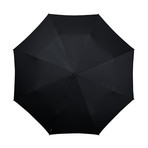Mini-Max // Automatic Foldable Umbrella