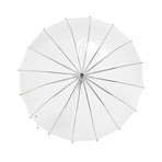 In The Air // Transparent Umbrella