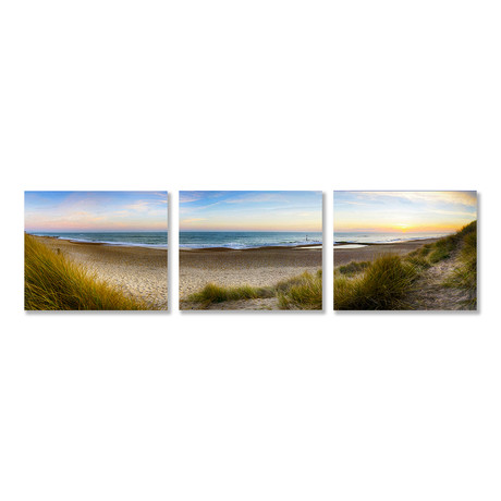 Among the Dunes Triptych