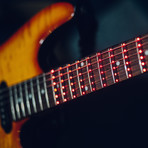 Fret Zealot For Guitar (24.75")