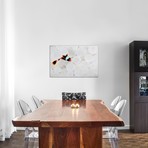 A Young False Clownfish Snuggles Into Its Host Anemone (26"W x 18"H x 0.75"D)