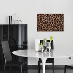 Detail Of A Coral Colony In Raja Ampat // Indonesia