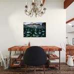 School Of Large Damselfish In Palau's Inner Lagoon