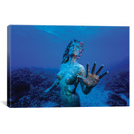Underwater Mermaid Statue At Grand Cayman Island // Jennifer Idol (18"W x 12"H x 0.75"D)
