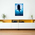 Whale Shark In Isla Mujeres // Mexico II (26"W x 18"H x 0.75"D)