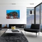 School Of Anthias Fish Swimming Over A Colorful Reef (26"W x 18"H x 0.75"D)