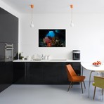 Crinoids And A Small Gorgonian Fan // Raja Ampat // Indonesia