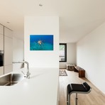 Day Octopus // Hawaii