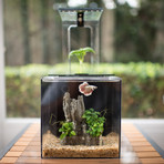 EcoQube C // Starter Bundle